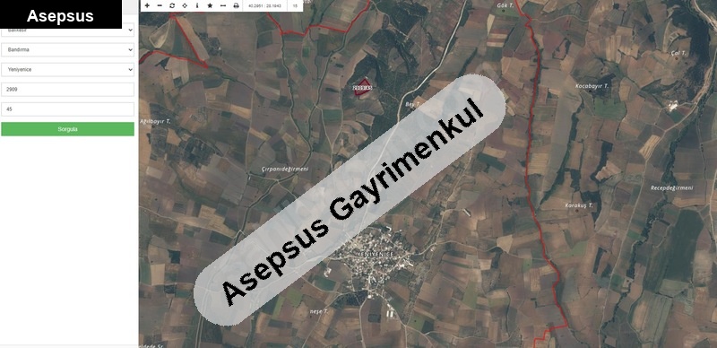 Yeniyenice Satılık Zeytinlik 10.909 m² 