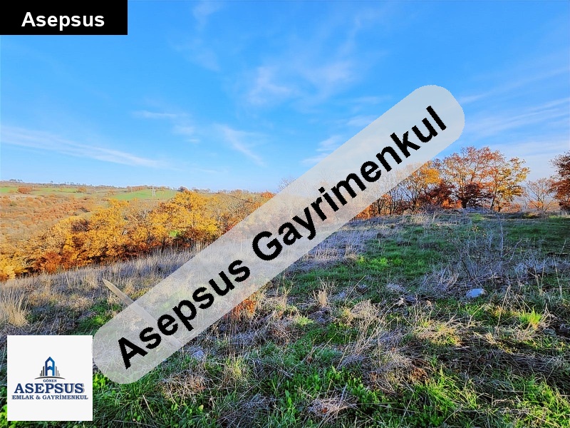 Asepsus Emlak'tan 3+1 yağdıran köyü 'sinde satılık arsa