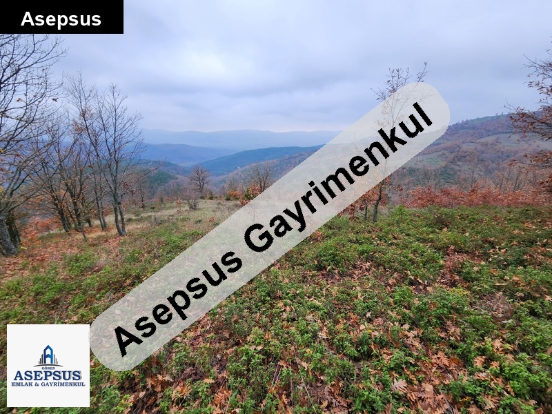 Asepsus Emlak'tan 3+1 karadoru köyü 'sinde satılık arsa