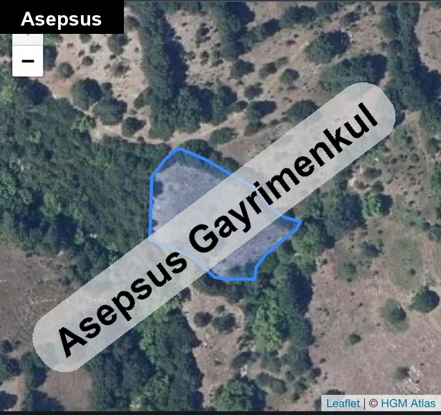 Gönen Dumanalan’da Yolu ve Suyu Olan 2.496 m² Yatırımlık Tarla! Sahibinden Fırsat