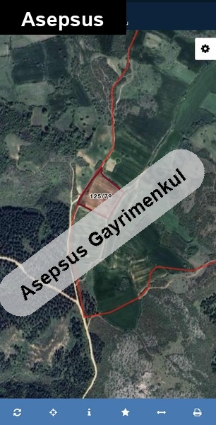 Balıkesir Susurluk Babaköy'de 12.852 m² Satılık Tarla