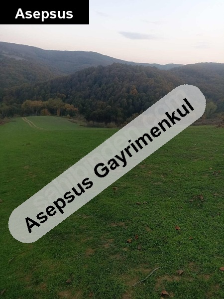 61.000 m² KAÇIRILMAYACAK FIRSAT! Tek Tapu Halinde Yatırımlık Tarla