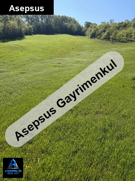 Asepsus Emlak'tan  balcıdede mh. 'sinde satılık arsa