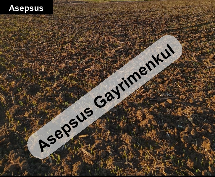 Bandırma’ya Yakın Ömerli Mh. 8.568 m² Yatırımlık Müstakil Arsa – Kadastro Yoluna Cepheli