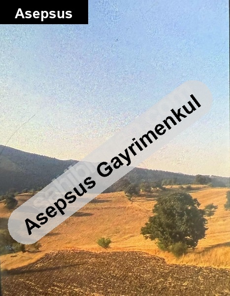 5.306 m² Balya Hacıhüseyin Mah. Satılık Arsa