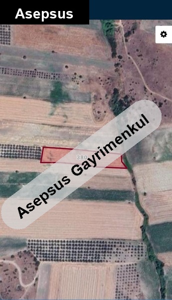 5.000 m² Bandırma Kirazlı Mh. Satılık Tarla