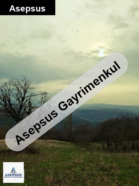 Asepsus Emlak'tan 3+1 karadoru köyü 'sinde satılık arsa
