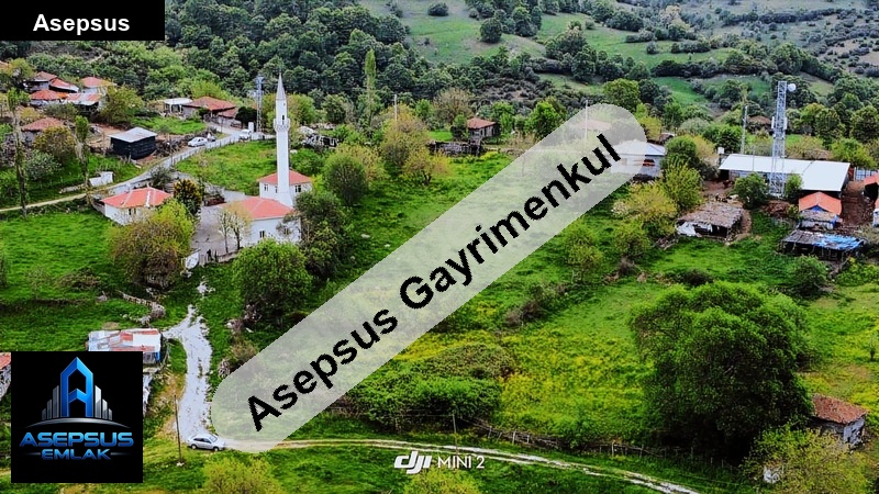 Asepsus Emlak'tan  dumanalan mh. 'sinde satılık arsa