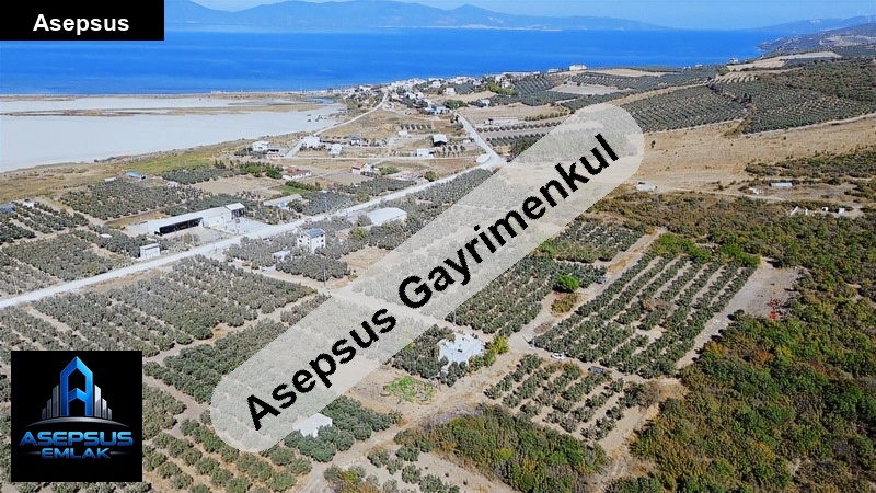 Asepsus Emlak'tan  misakça mh. 'sinde satılık arsa