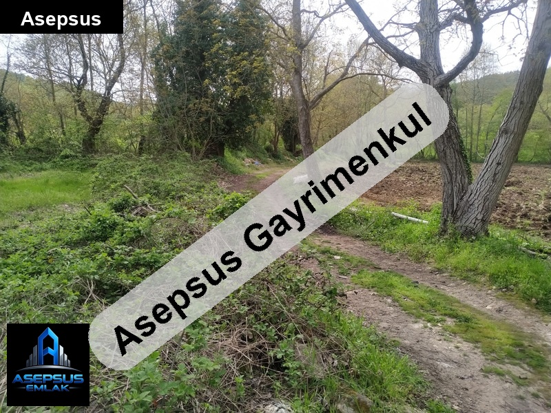 Asepsus Emlak'tan  geyikli mh. 'sinde satılık arsa