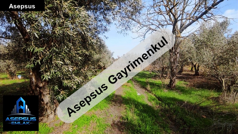 Asepsus Emlak'tan  kurtuluş mh. 'sinde satılık arsa