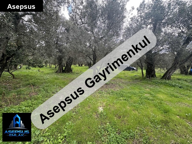 Asepsus Emlak'tan  edincik mh. 'sinde satılık arsa