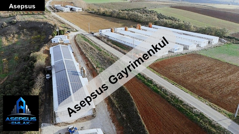 Asepsus Emlak'tan  erikli mh. 'sinde satılık arsa