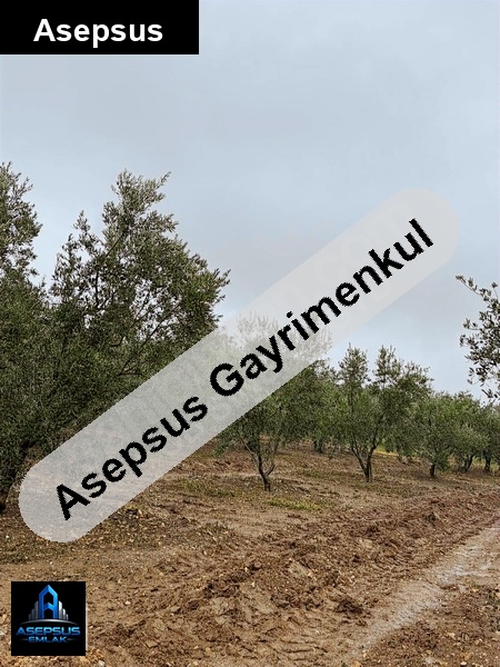 Asepsus Emlak'tan  şirinçavuş mh. 'sinde satılık arsa