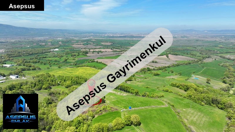 Asepsus Emlak'tan  üçpınar mh. 'sinde satılık arsa