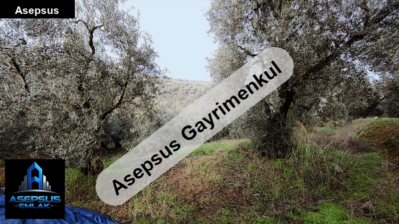 Asepsus Emlak'tan  edincik mh. 'sinde satılık arsa