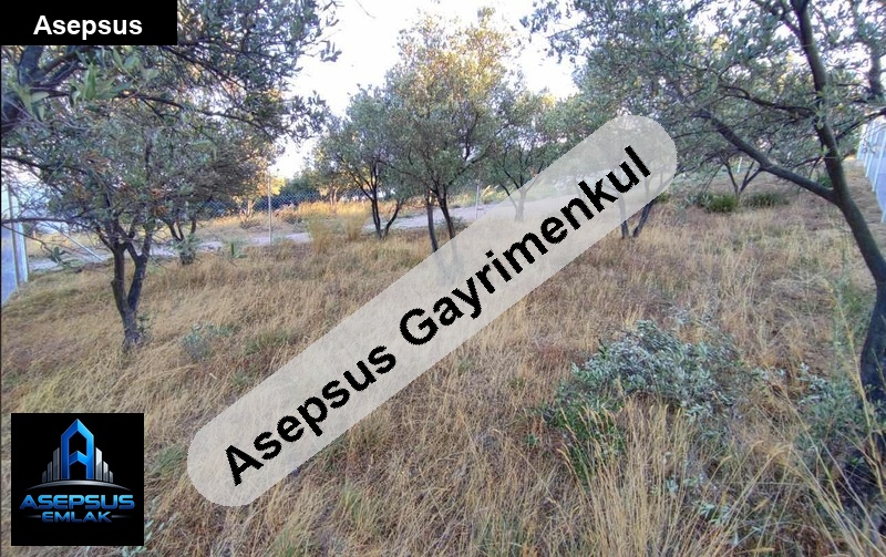 Asepsus Emlak'tan  edincik mh. 'sinde satılık arsa