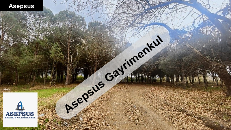 Asepsus Emlak'tan 3+1 kurtuluş mh. 'sinde satılık arsa