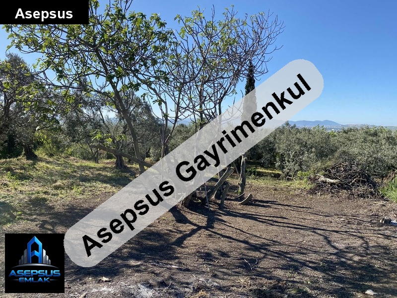 Asepsus Emlak'tan  doğruca mh. 'sinde satılık arsa
