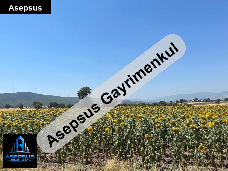 Asepsus Emlak'tan  osmanpazar mh. 'sinde satılık arsa