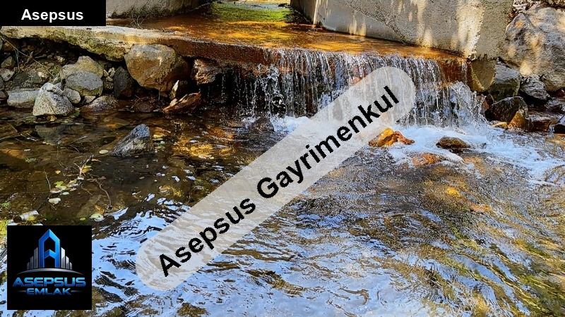 Asepsus Emlak'tan  canbaz mh. 'sinde satılık arsa