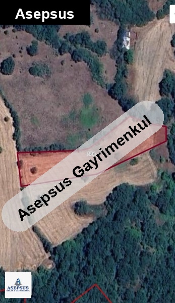 Asepsus Emlak'tan 3+1 çınarcık köyü 'sinde satılık arsa