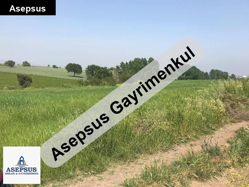 Asepsus Emlak'tan 3+1 balıklıçeşme köyü 'sinde satılık arsa