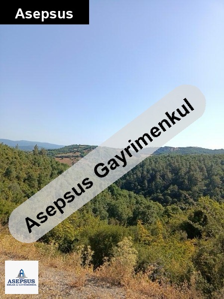 Asepsus Emlak'tan 3+1 aşağıkaraaşık köyü 'sinde satılık arsa