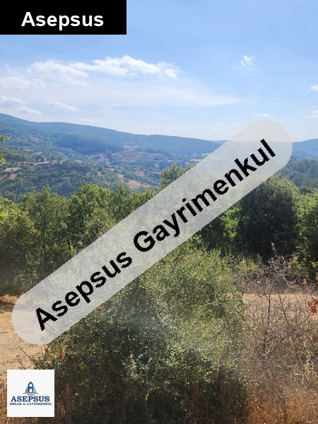 Asepsus Emlak'tan 3+1 karaköy köyü 'sinde satılık arsa