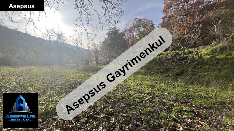 Asepsus Emlak'tan  dereköy mh. 'sinde satılık arsa
