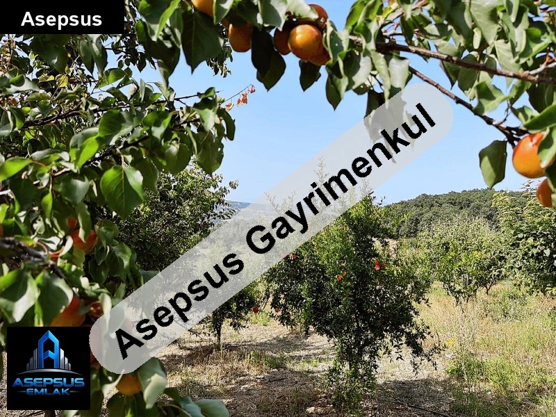 Asepsus Emlak'tan  ekşidere mh. 'sinde satılık arsa