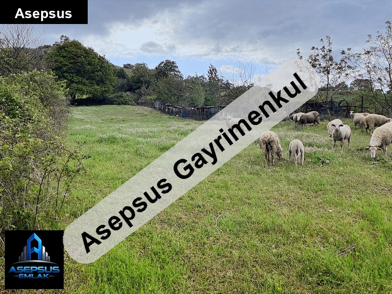 Asepsus Emlak'tan  ekşidere mh. 'sinde satılık arsa
