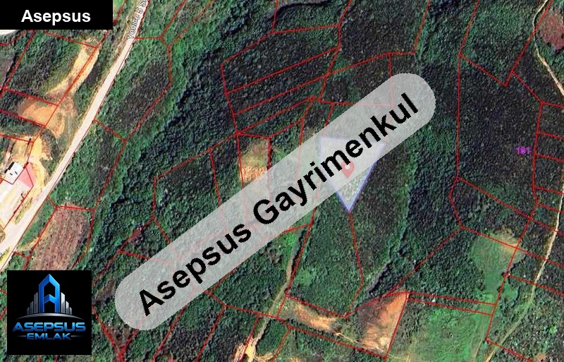 Asepsus Emlak'tan  yeniyenice mh. 'sinde satılık arsa