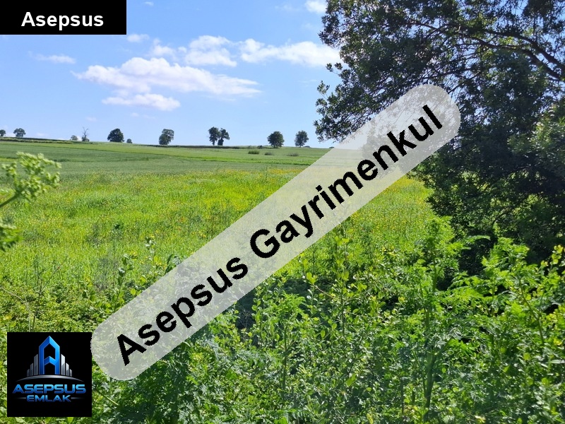 Asepsus Emlak'tan  osmanpazar mh. 'sinde satılık arsa