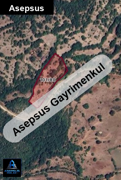 Asepsus Emlak'tan  dumanalan mh. 'sinde satılık arsa