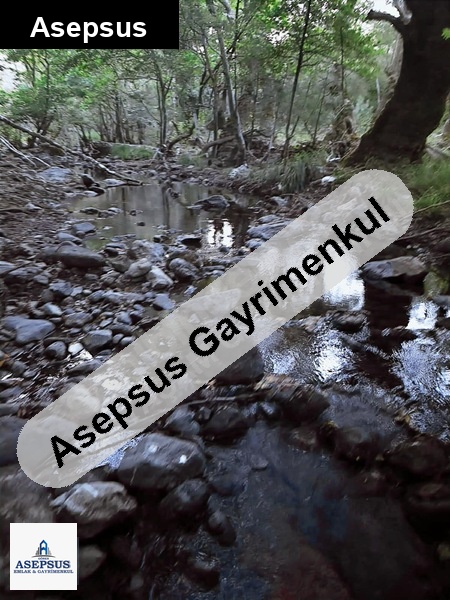 Asepsus Emlak'tan 3+1 ballıçay köyü 'sinde satılık arsa