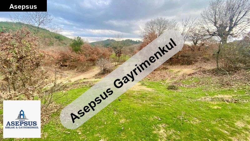 Asepsus Emlak'tan 3+1 çakır köyü 'sinde satılık arsa