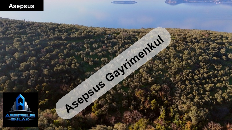 Asepsus Emlak'tan  edincik mh. 'sinde satılık arsa