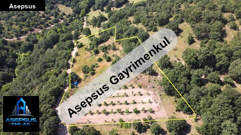 Asepsus Emlak'tan  söğüt mh. 'sinde satılık arsa