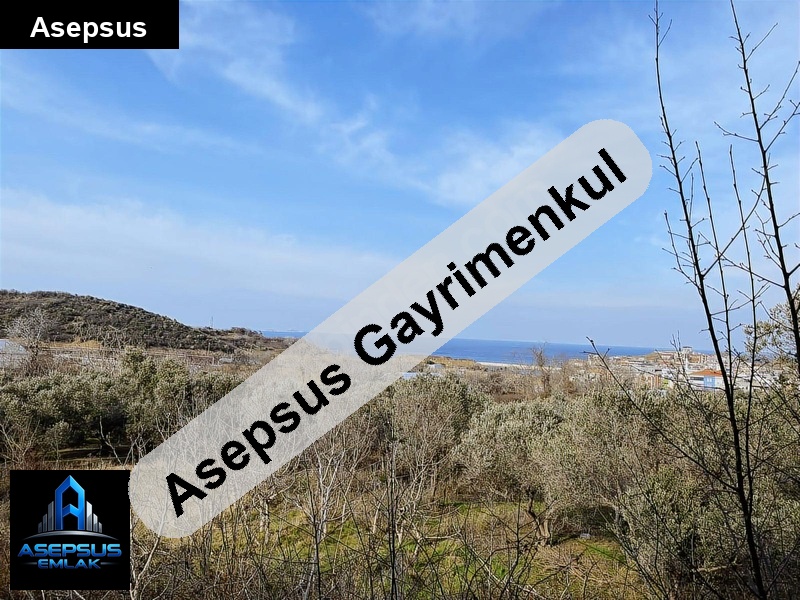 Asepsus Emlak'tan  yenice mh. 'sinde satılık arsa