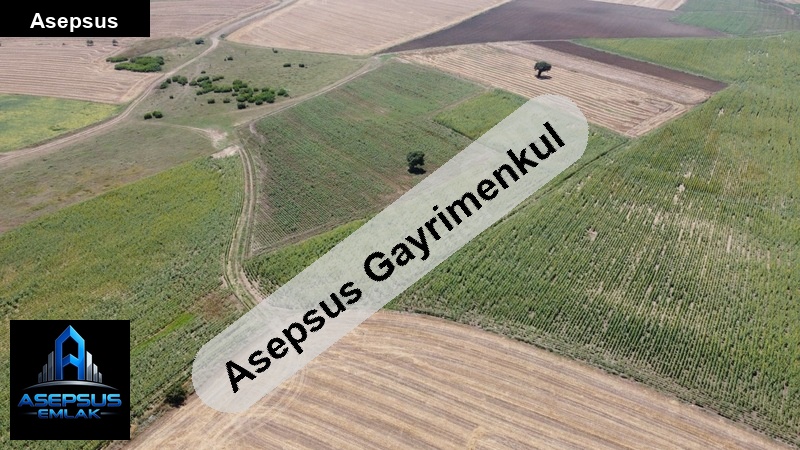 Asepsus Emlak'tan  ömerli mh. 'sinde satılık arsa