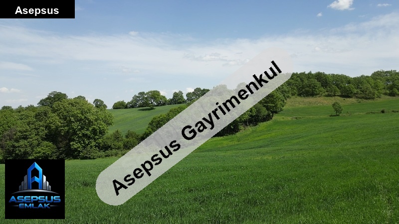 Asepsus Emlak'tan  kalburcu mh. 'sinde satılık arsa