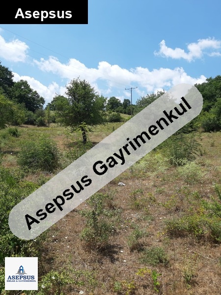Asepsus Emlak'tan 3+1 oğlanalanı köyü 'sinde satılık arsa