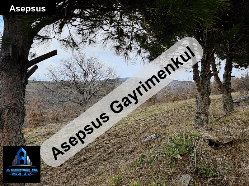 Asepsus Emlak'tan  çakılköy mh. 'sinde satılık arsa