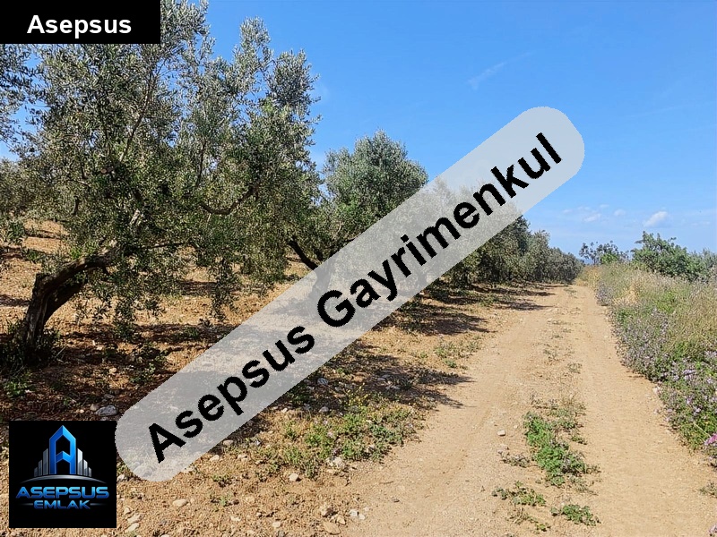 Asepsus Emlak'tan  şirinçavuş mh. 'sinde satılık arsa