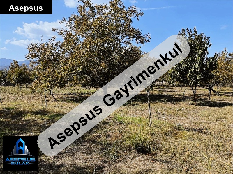 Asepsus Emlak'tan  ekşidere mh. 'sinde satılık arsa