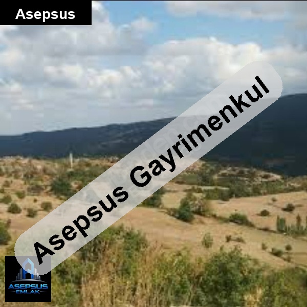 Asepsus Emlak'tan  dumanalan mh. 'sinde satılık arsa