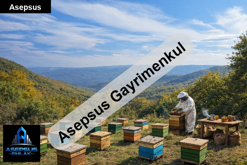 Asepsus Emlak'tan  kalburcu mh. 'sinde satılık arsa