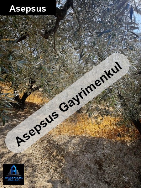 Asepsus Emlak'tan  edincik mh. 'sinde satılık arsa