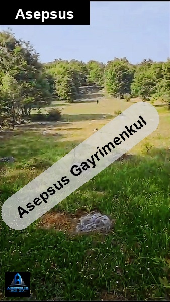 Asepsus Emlak'tan  şaroluk mh. 'sinde satılık arsa